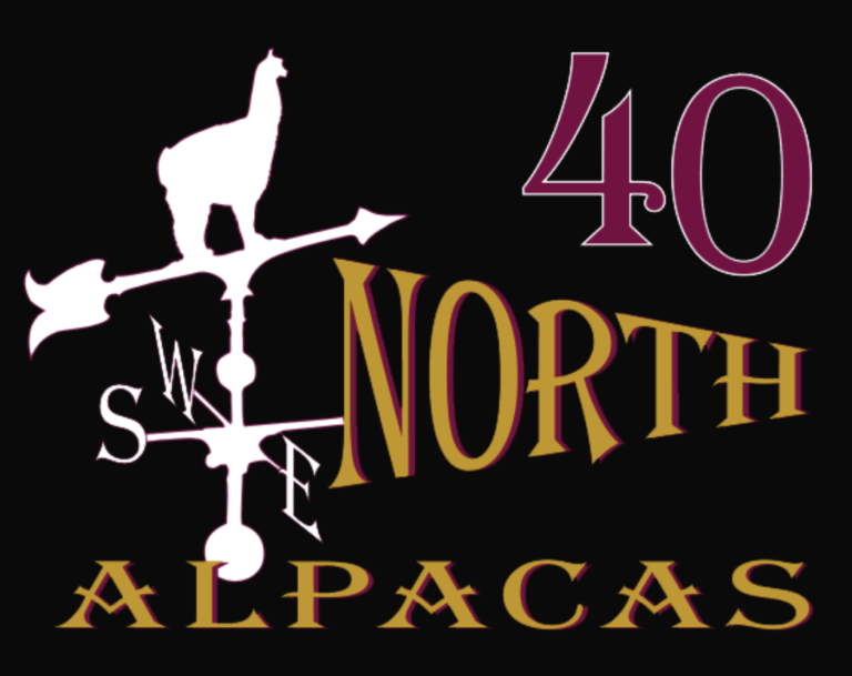 Screen Shot 2021 04 08 at 6.55.52 AM 768x609